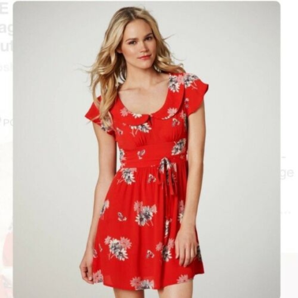 AEO Red Floral Peter Pan Collar Dress Size 8
